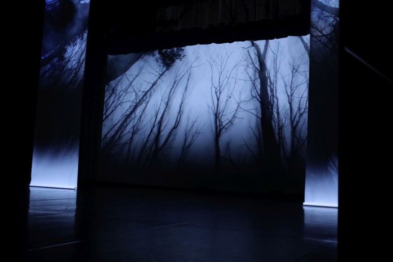 Na scenie wyświetla się slajd d drzew bez liści