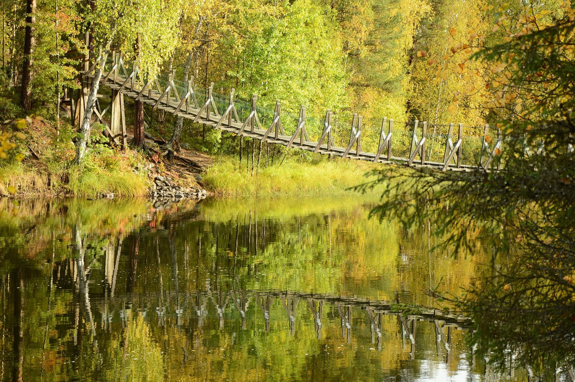 Zdjęcie przedstawiające przyrodę Finlandii.