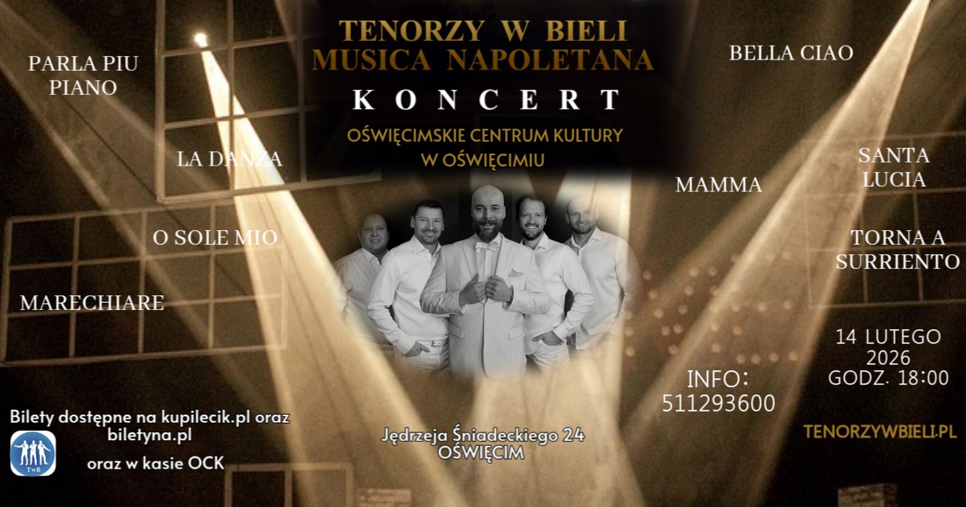 na grafice wykonawcy koncertu