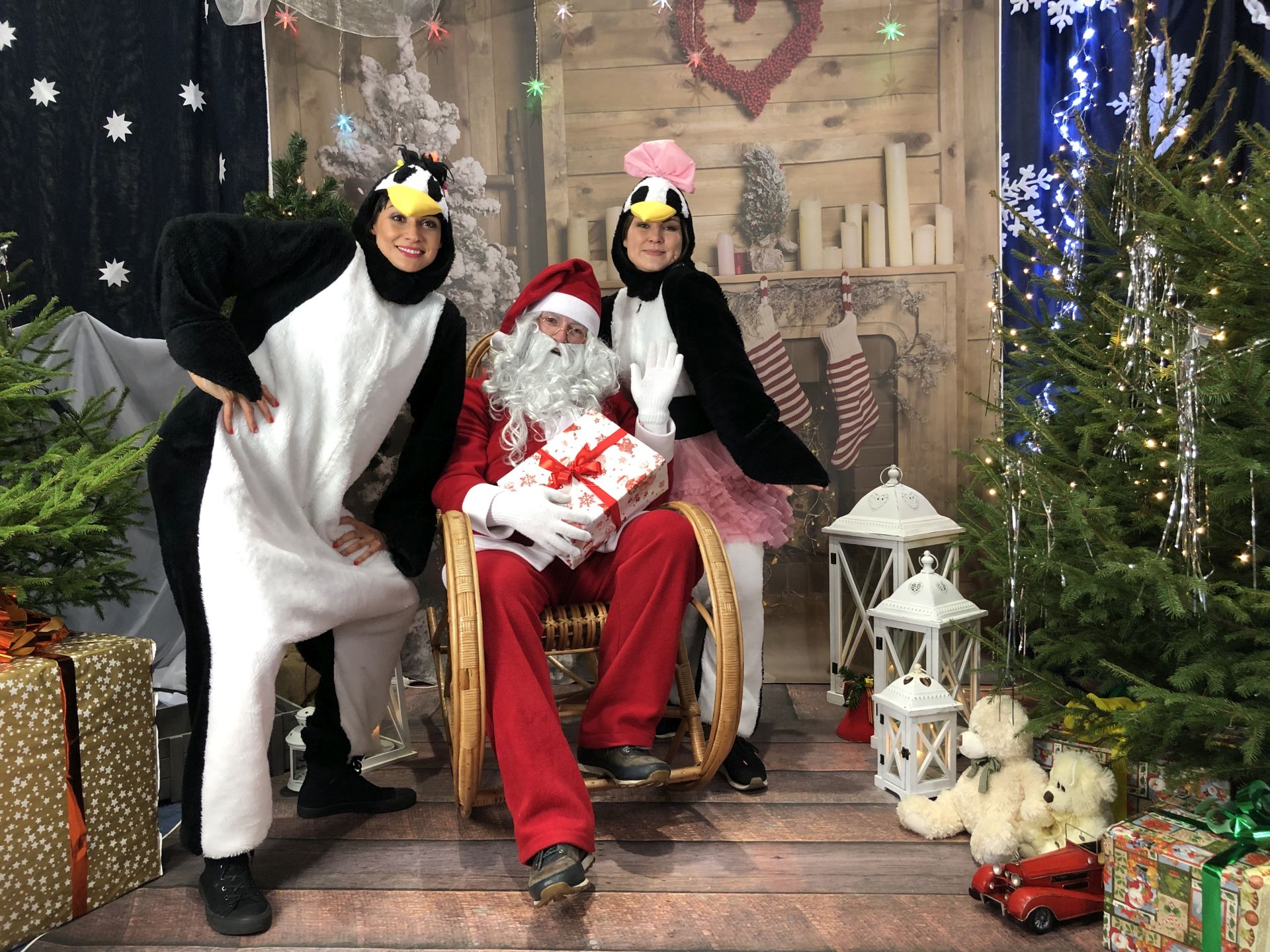 na zdjęciu Mikołaj i dwa pingwiny